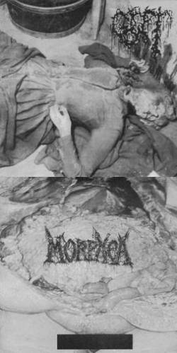 Gut (GER-2) : GUT - Morphea